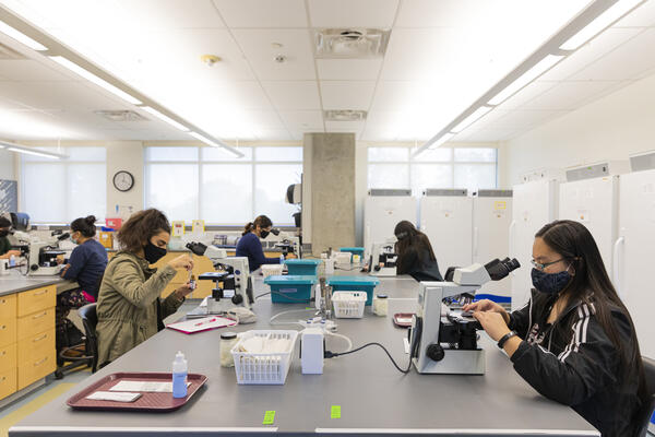Students work in Deborah Polayes Biology of Microorganisms Lab. Photo by Lathan Goumas/Office of Communications and Marketing